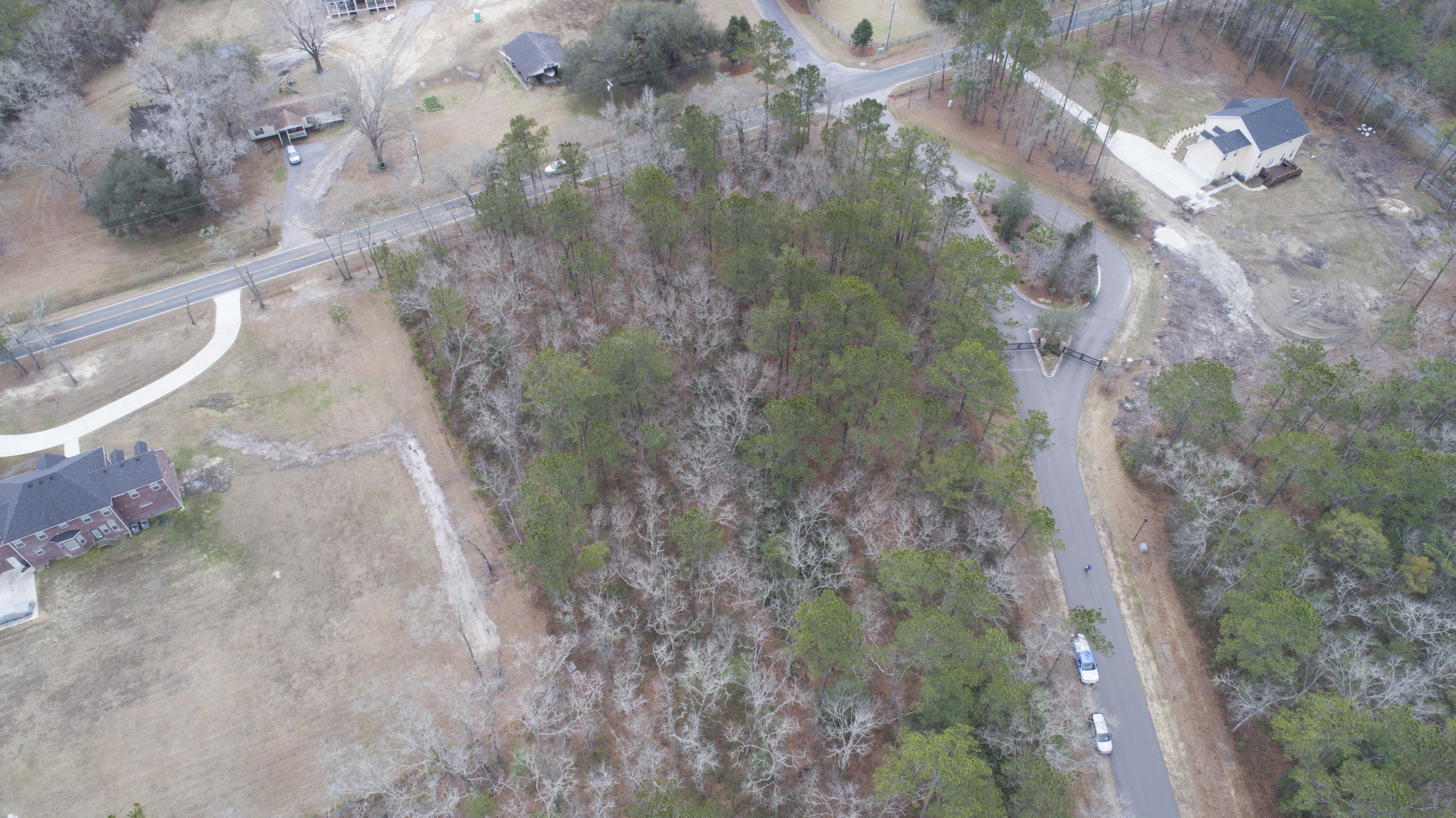 0 Old Jacksonboro Road Ravenel, SC 29470 - Photo 35 of 56 PepperGrassTrail_NoEdit_022
