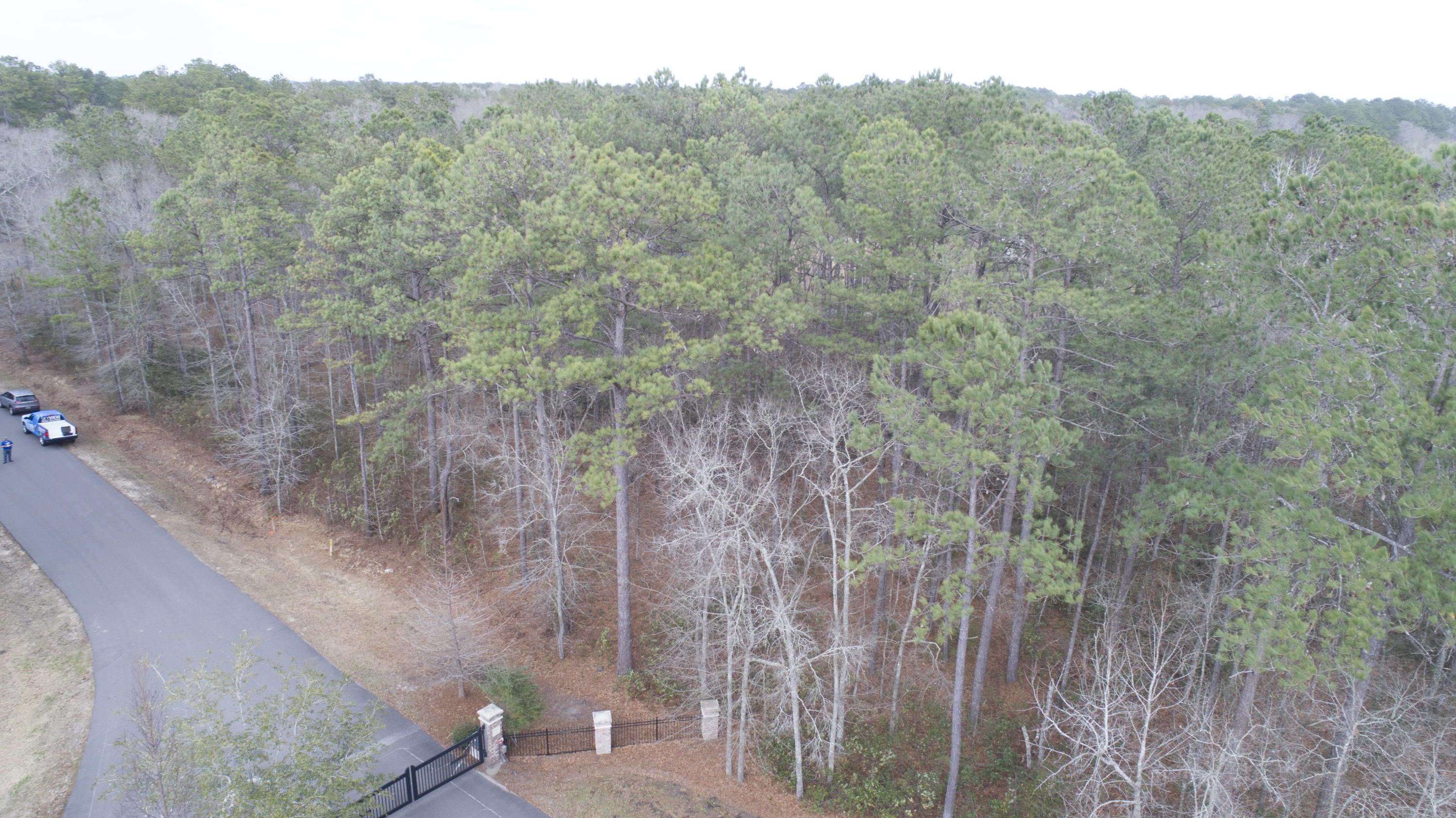 0 Old Jacksonboro Road Ravenel, SC 29470 - Photo 36 of 56 PepperGrassTrail_NoEdit_023