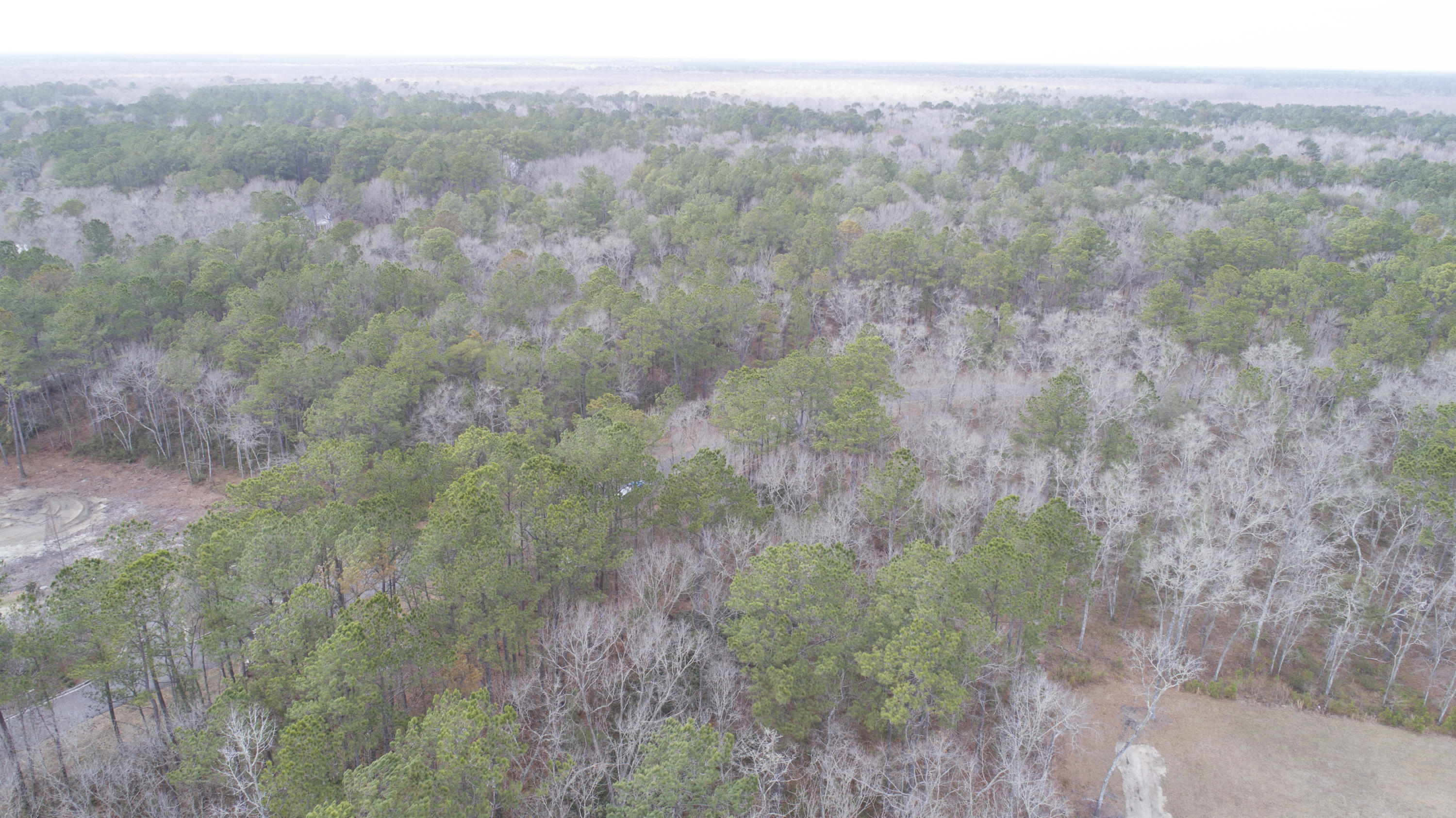 0 Old Jacksonboro Road Ravenel, SC 29470 - Photo 37 of 56 PepperGrassTrail_NoEdit_024