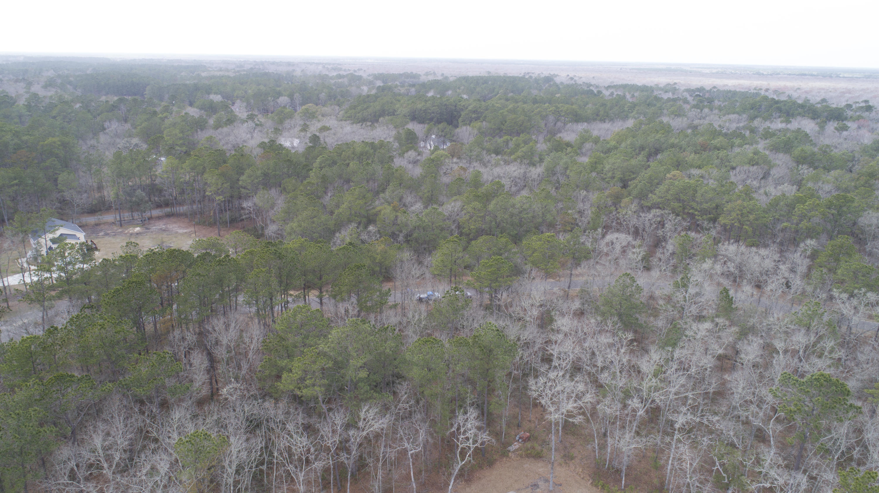 0 Old Jacksonboro Road Ravenel, SC 29470 - Photo 38 of 56 PepperGrassTrail_NoEdit_025