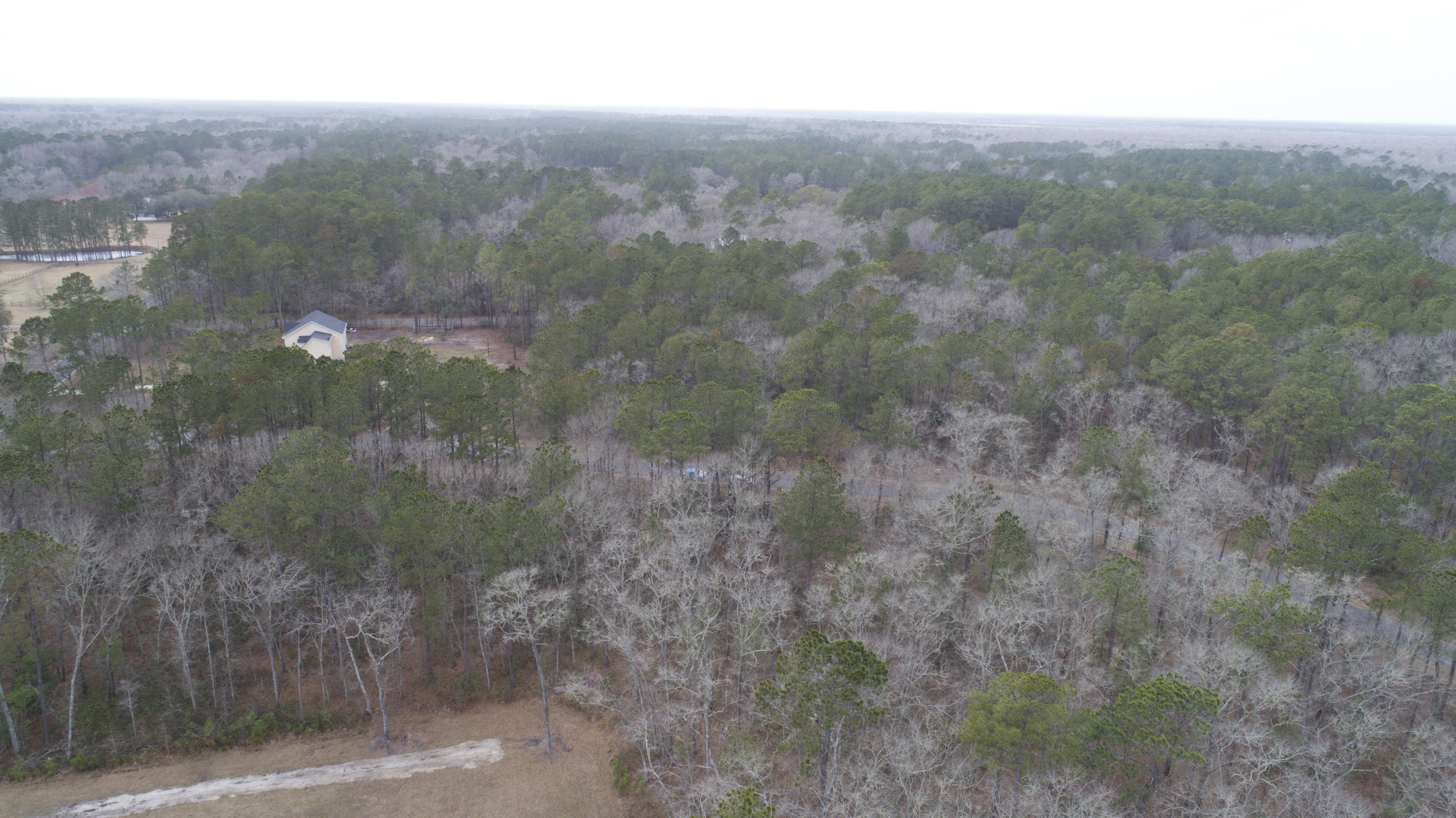 0 Old Jacksonboro Road Ravenel, SC 29470 - Photo 39 of 56 PepperGrassTrail_NoEdit_026