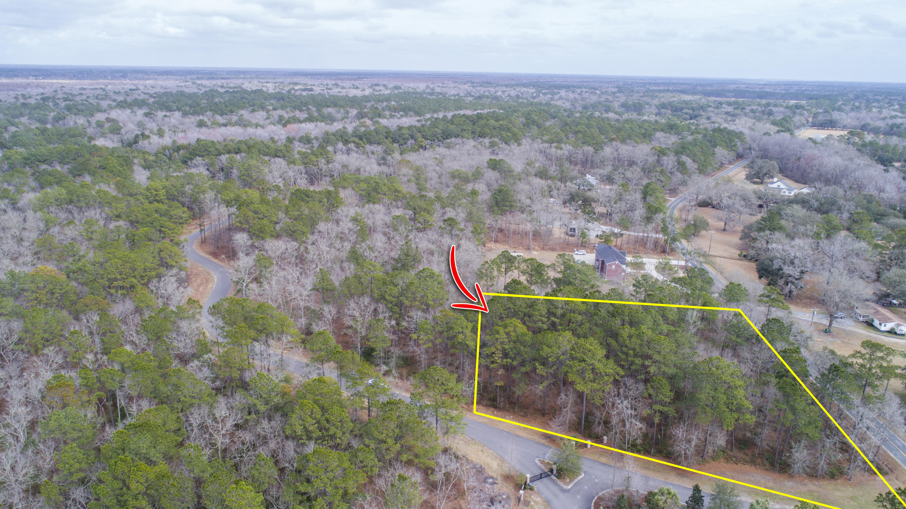 0 Old Jacksonboro Road Ravenel, SC 29470 - Photo 5 of 56 PepperGrassTrail_Edited_004 copy