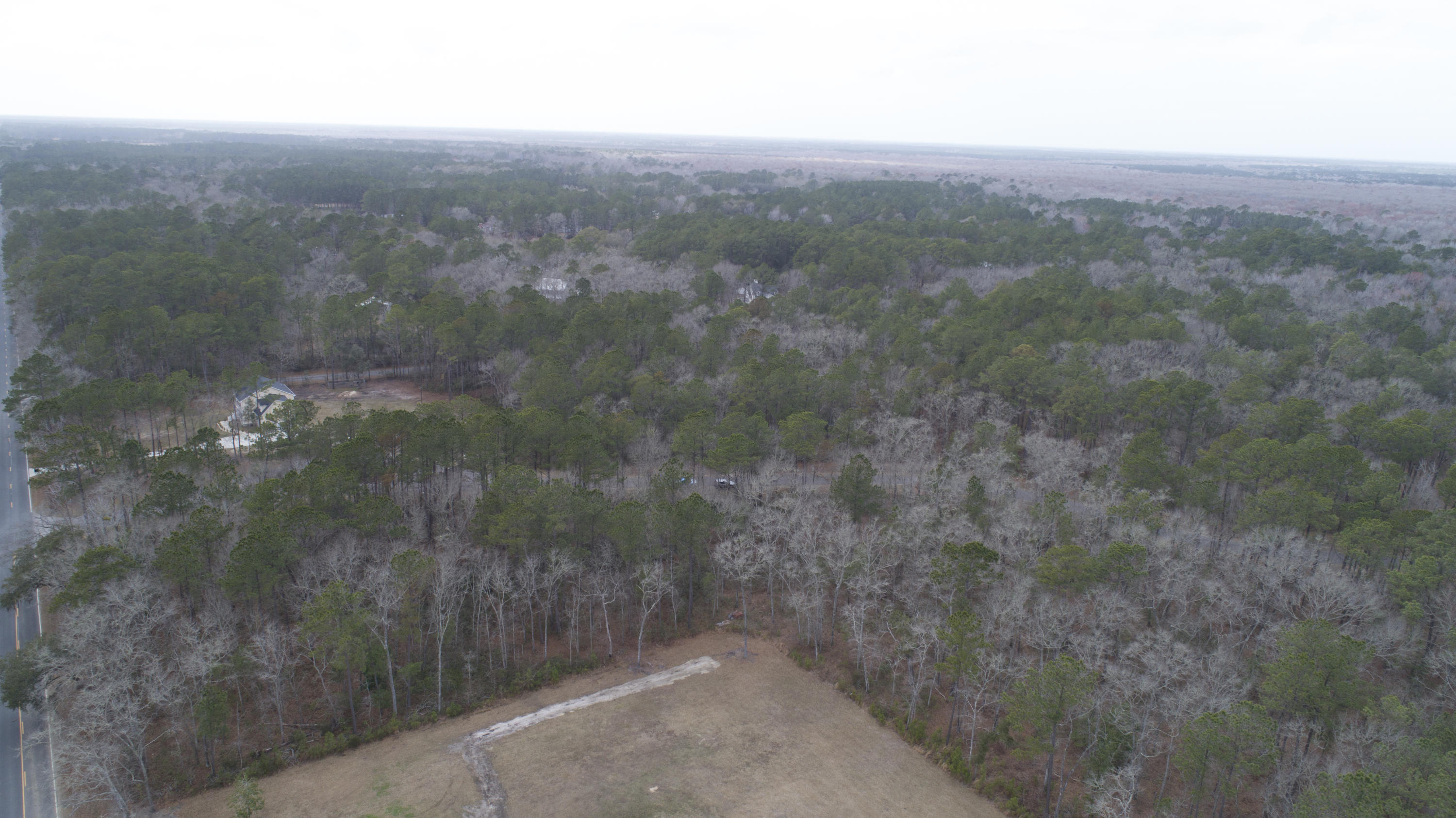 0 Old Jacksonboro Road Ravenel, SC 29470 - Photo 41 of 56 PepperGrassTrail_NoEdit_028