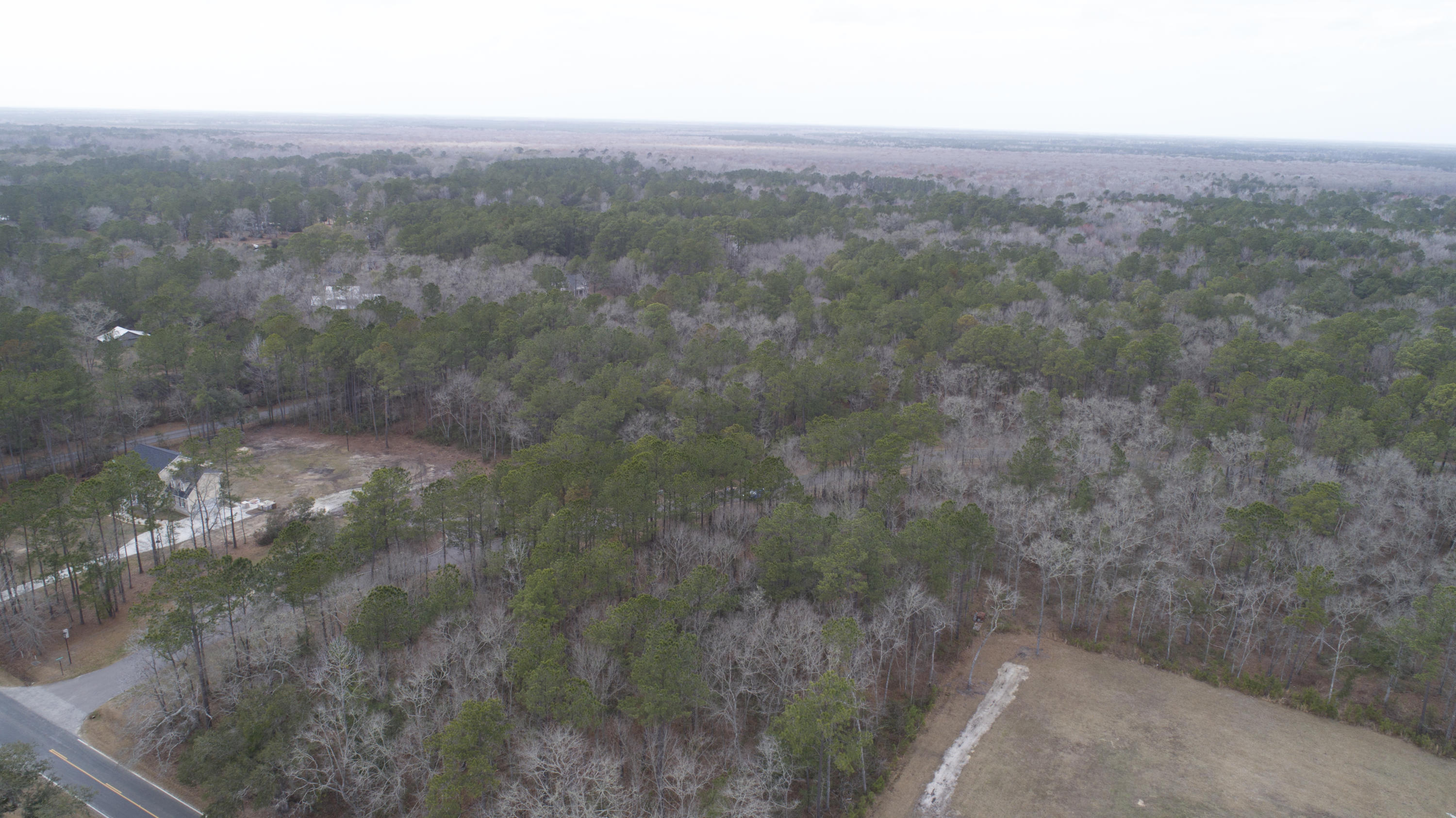 0 Old Jacksonboro Road Ravenel, SC 29470 - Photo 42 of 56 PepperGrassTrail_NoEdit_029