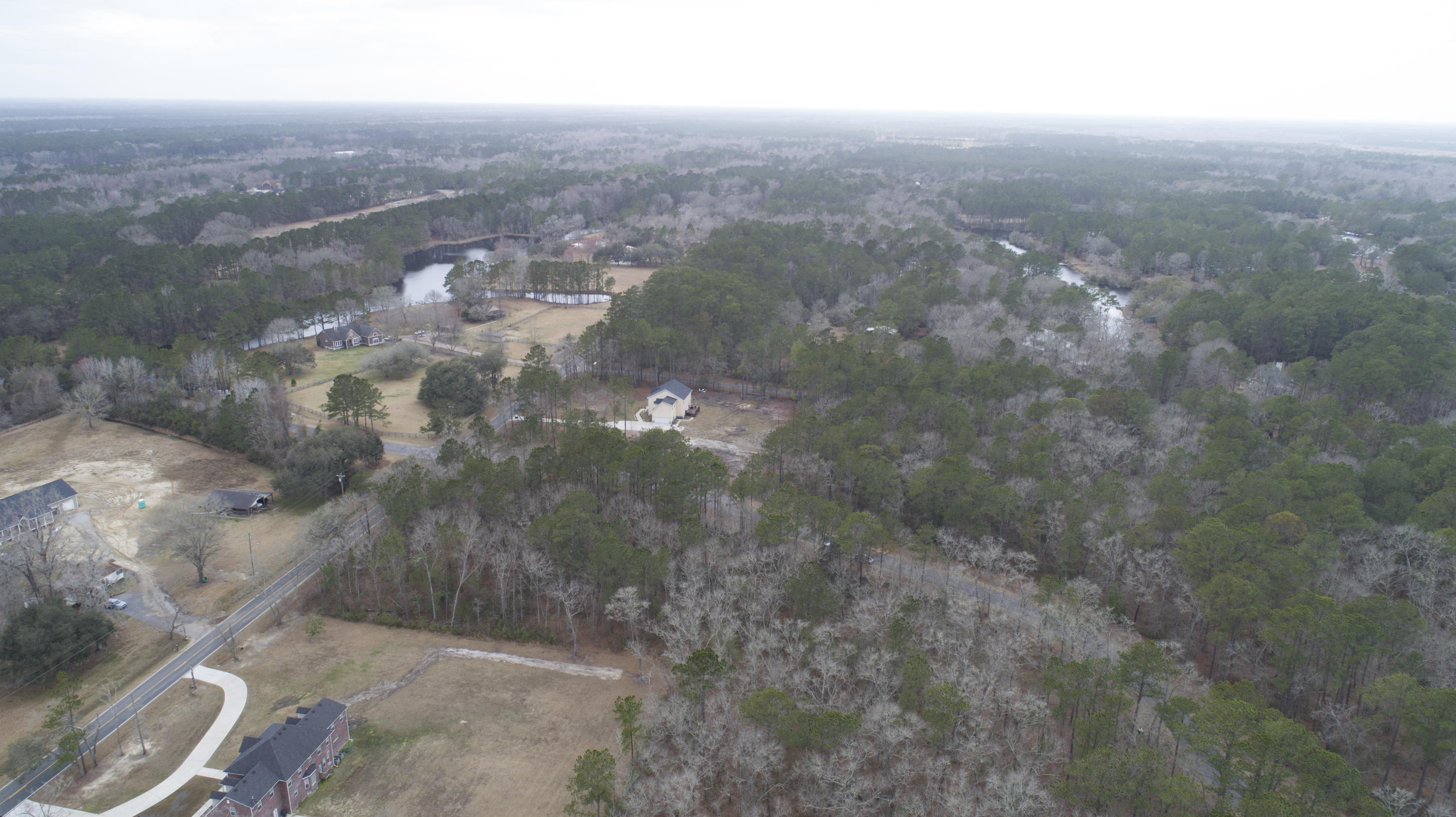 0 Old Jacksonboro Road Ravenel, SC 29470 - Photo 45 of 56 PepperGrassTrail_NoEdit_032