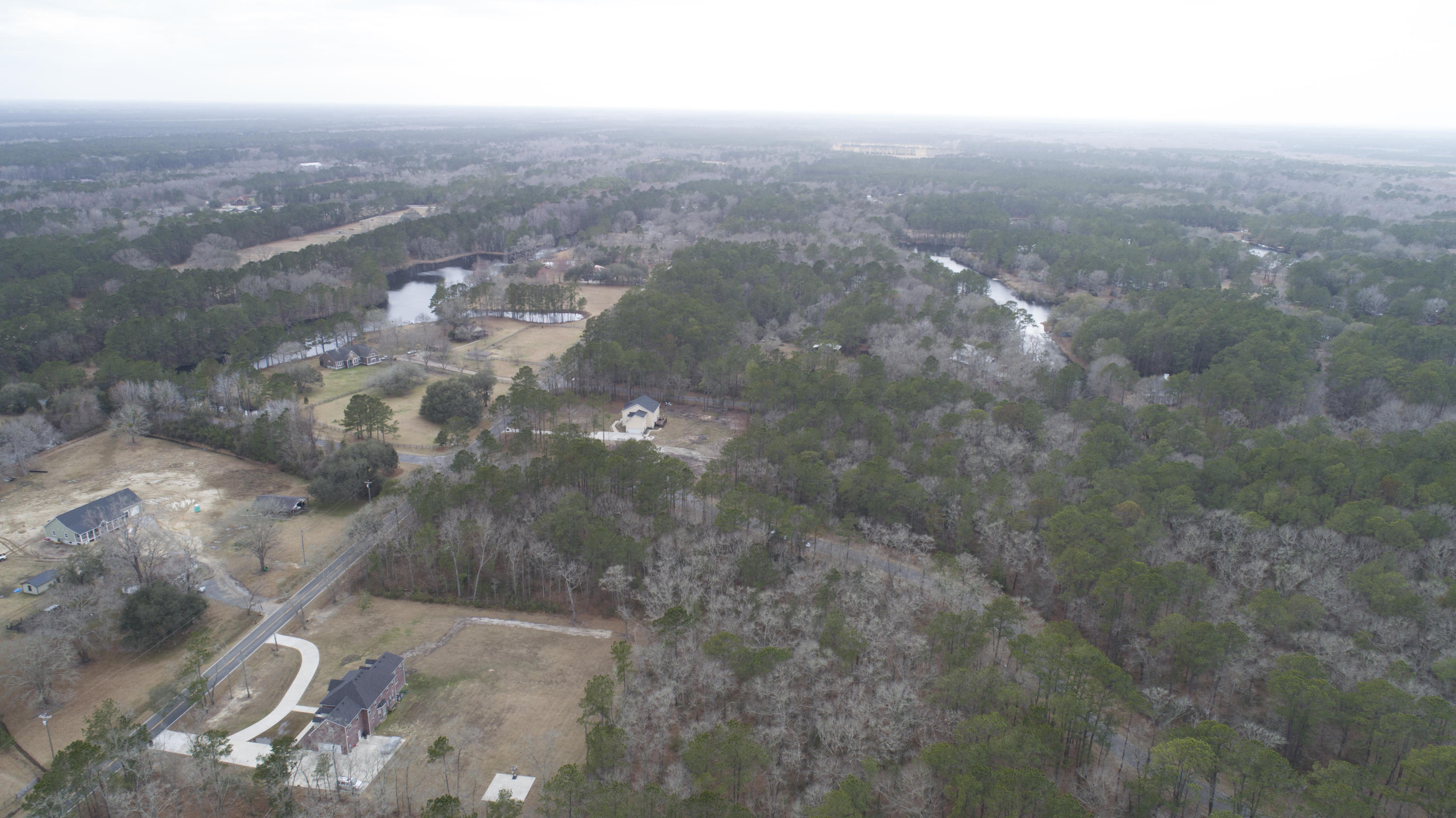 0 Old Jacksonboro Road Ravenel, SC 29470 - Photo 46 of 56 PepperGrassTrail_NoEdit_033