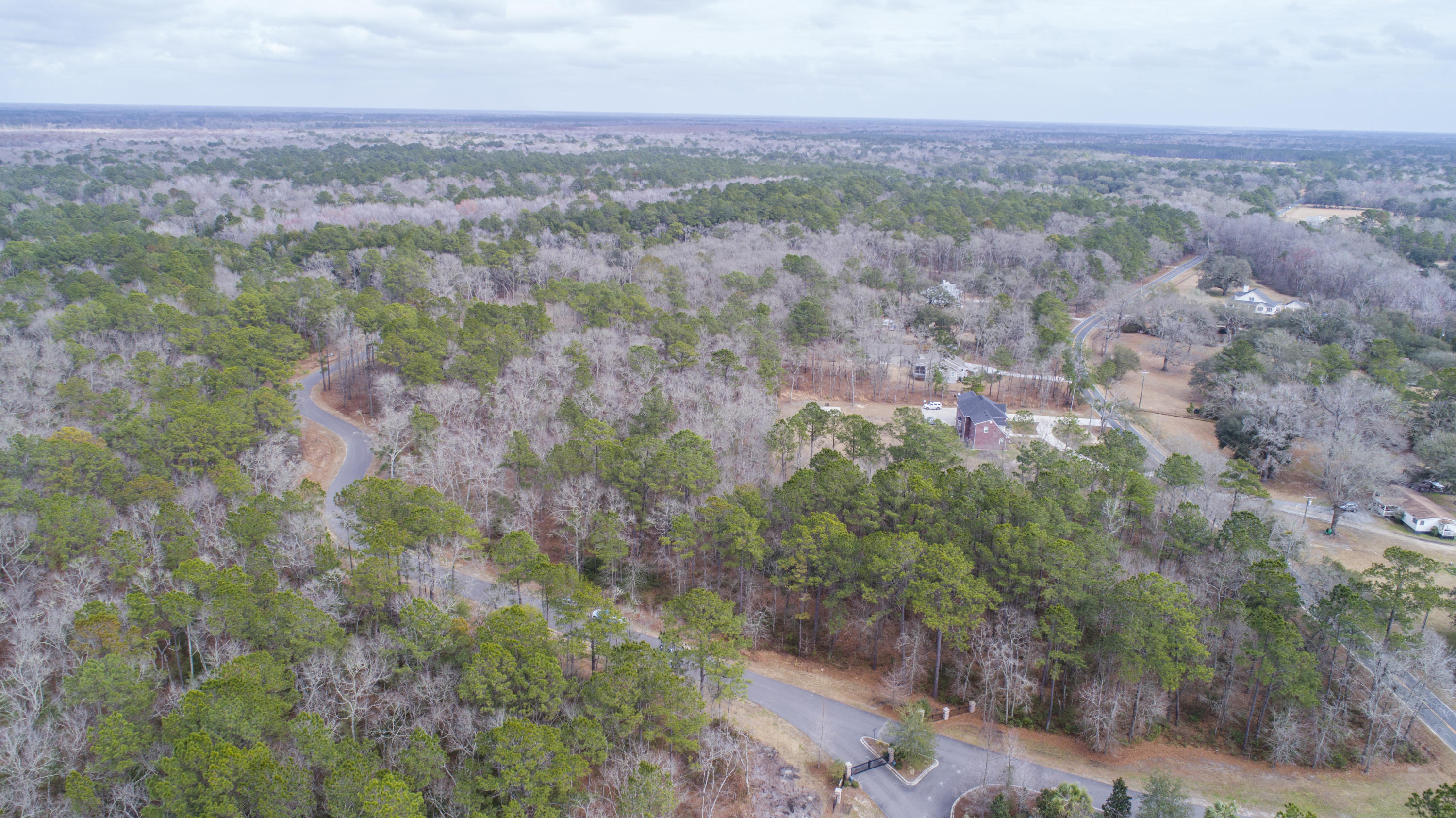 0 Old Jacksonboro Road Ravenel, SC 29470 - Photo 6 of 56 PepperGrassTrail_Edited_004