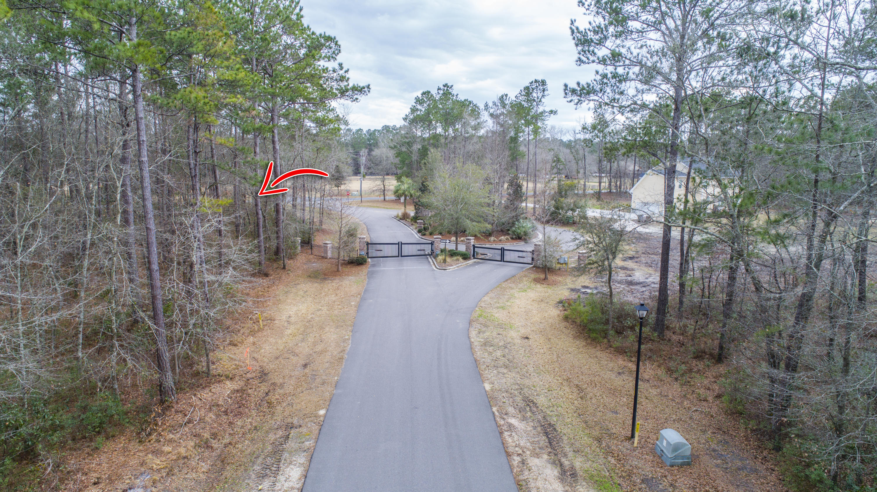 0 Old Jacksonboro Road Ravenel, SC 29470 - Photo 53 of 56 PepperGrassTrail_Edited_011 copy
