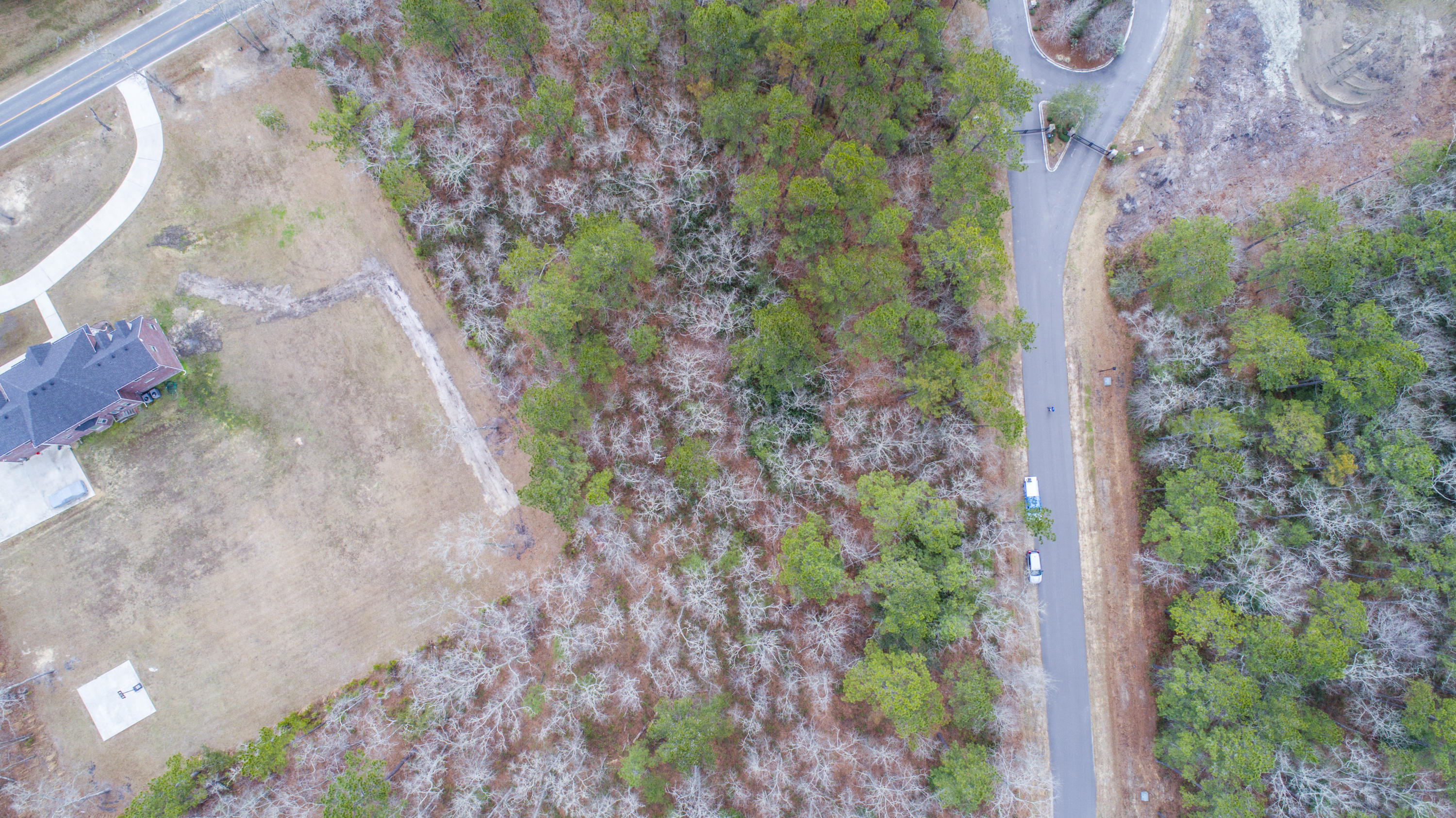 0 Old Jacksonboro Road Ravenel, SC 29470 - Photo 10 of 56 PepperGrassTrail_Edited_007