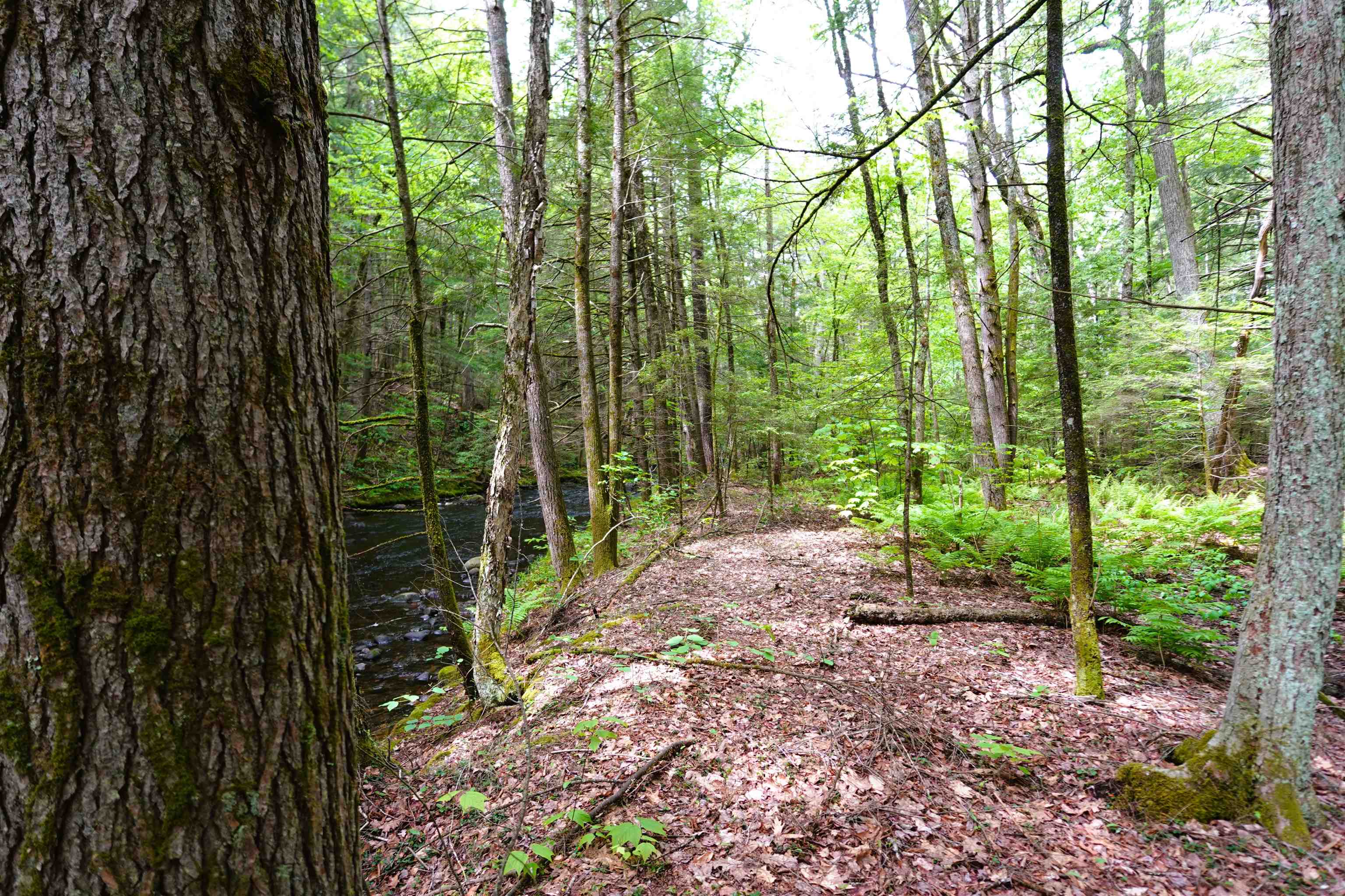 525 Richmond Road Winchester, NH 03470 - Photo 3 of 29