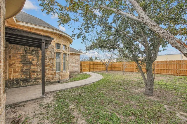 a view of backyard with tree