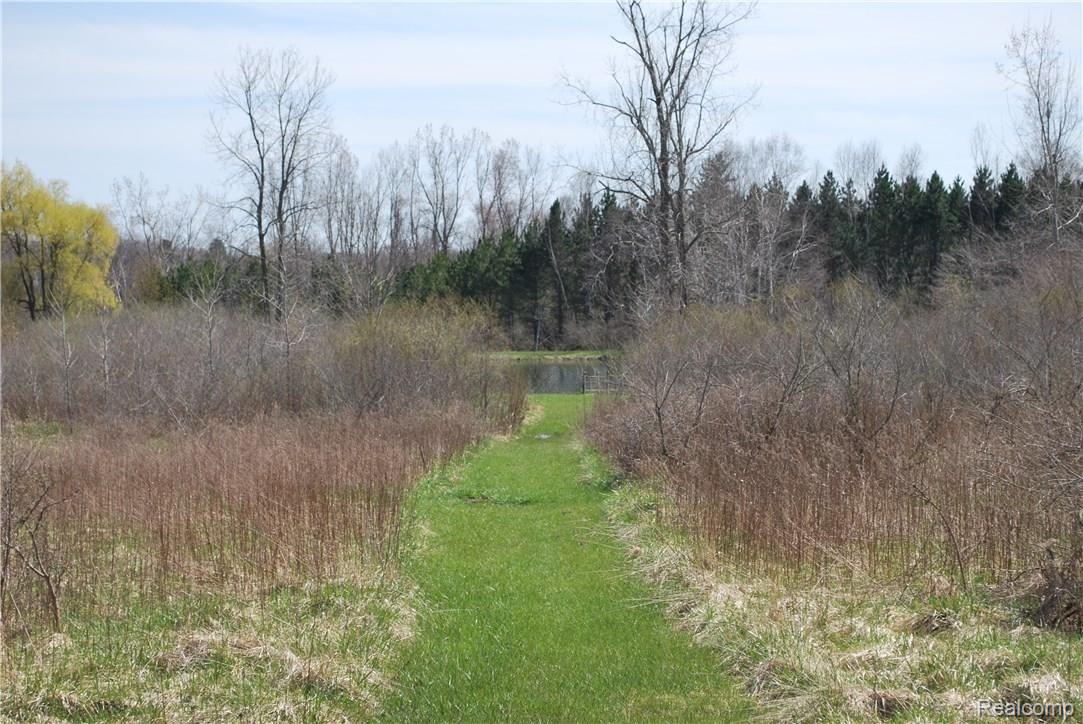 5365 Hollenbeck Road Columbiaville, MI 48421 - Photo 44 of 48 Path to back pond - Copy.JPG