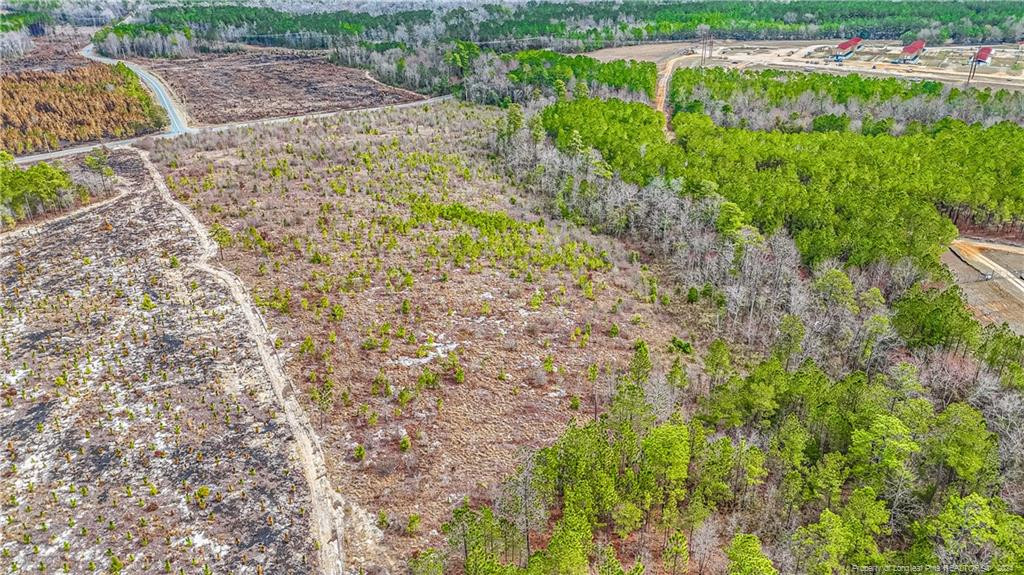 Tbd Cedar Lane Road Ellerbe, NC 28338 - Photo 9 of 14 Photo 9