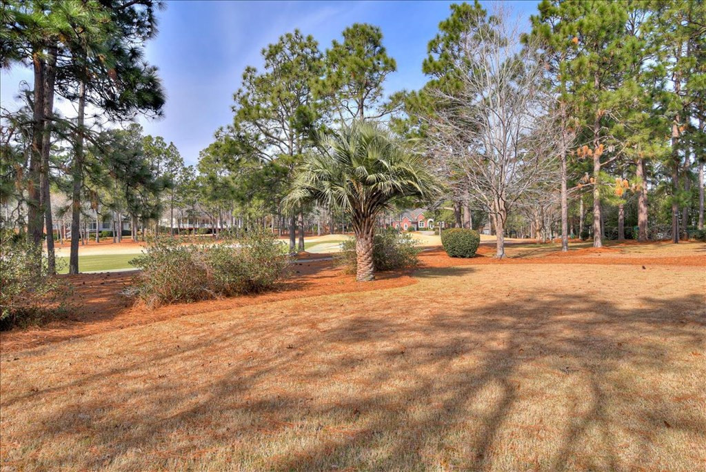 331 Forest Pines Road Aiken, SC 29803 - Photo 33 of 35 Gallery Image 33