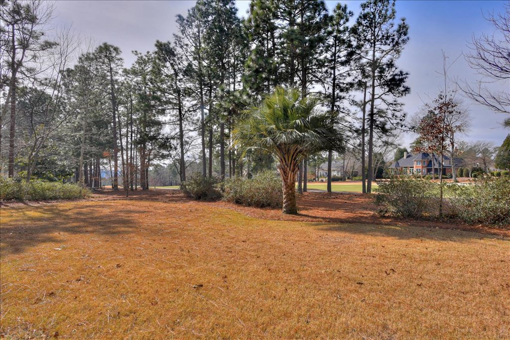 331 Forest Pines Road Aiken, SC 29803 - Photo 35 of 35 Gallery Image 35