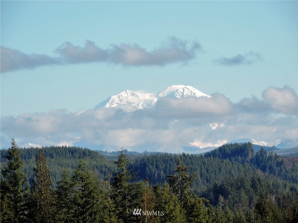 380 Schmidt Road Toledo, WA 98591 - Photo 1 of 23