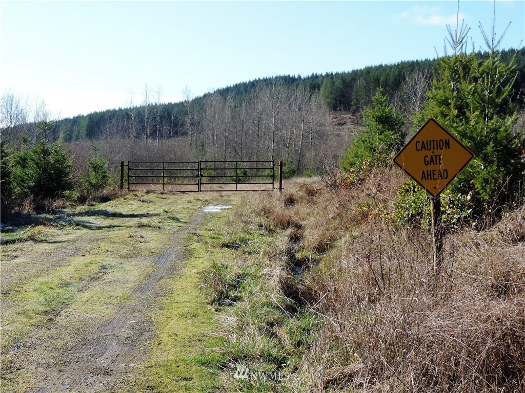 380 Schmidt Road Toledo, WA 98591 - Photo 14 of 23
