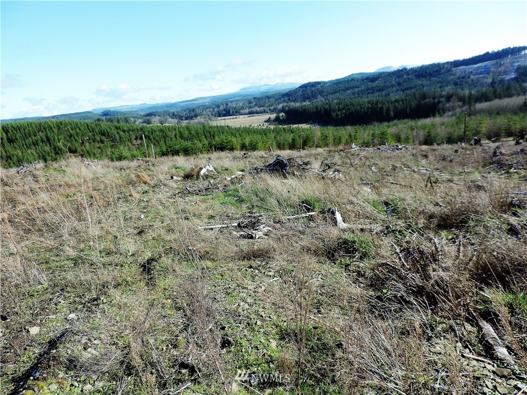 380 Schmidt Road Toledo, WA 98591 - Photo 16 of 23
