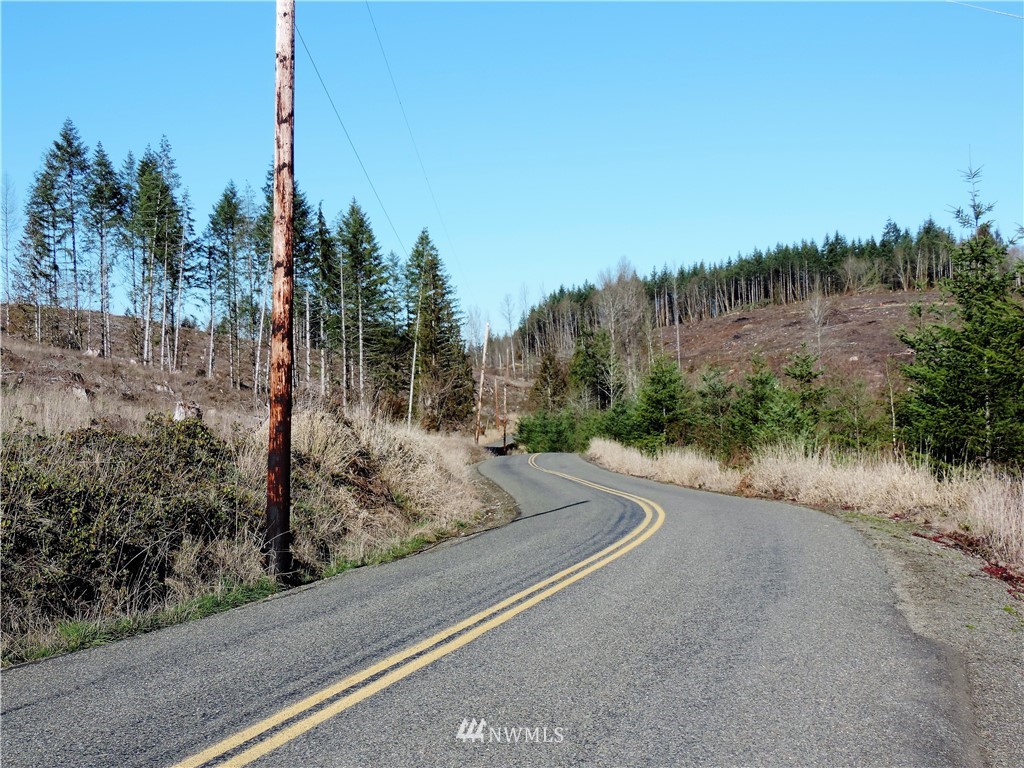 380 Schmidt Road Toledo, WA 98591 - Photo 19 of 23
