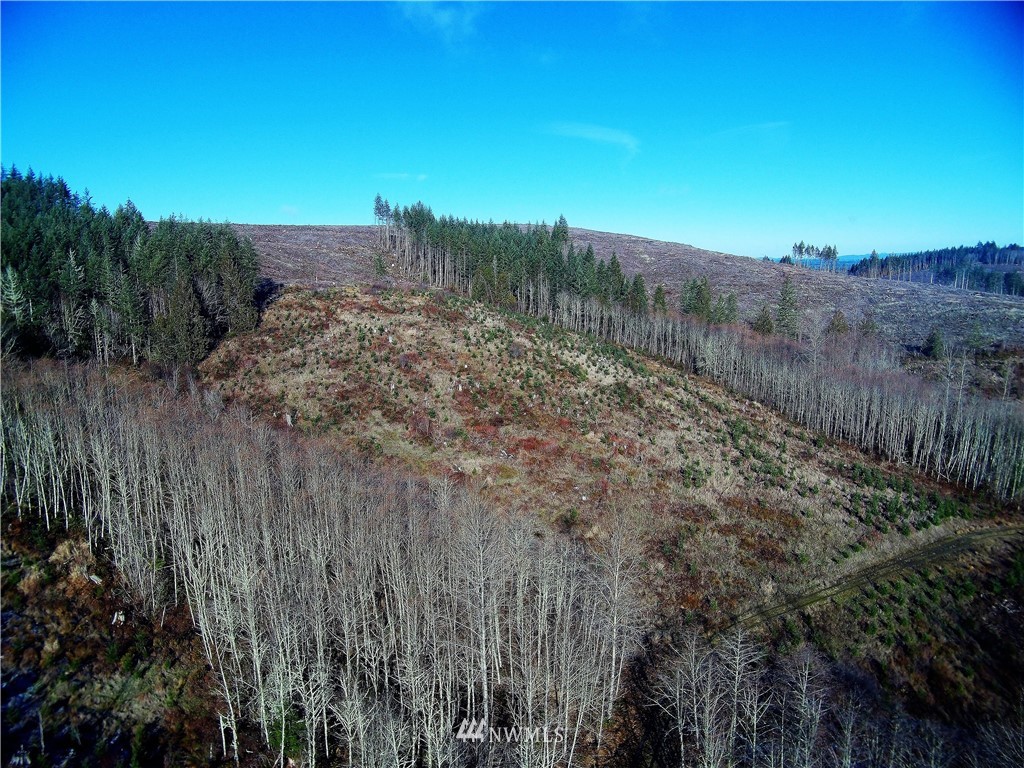 380 Schmidt Road Toledo, WA 98591 - Photo 21 of 23