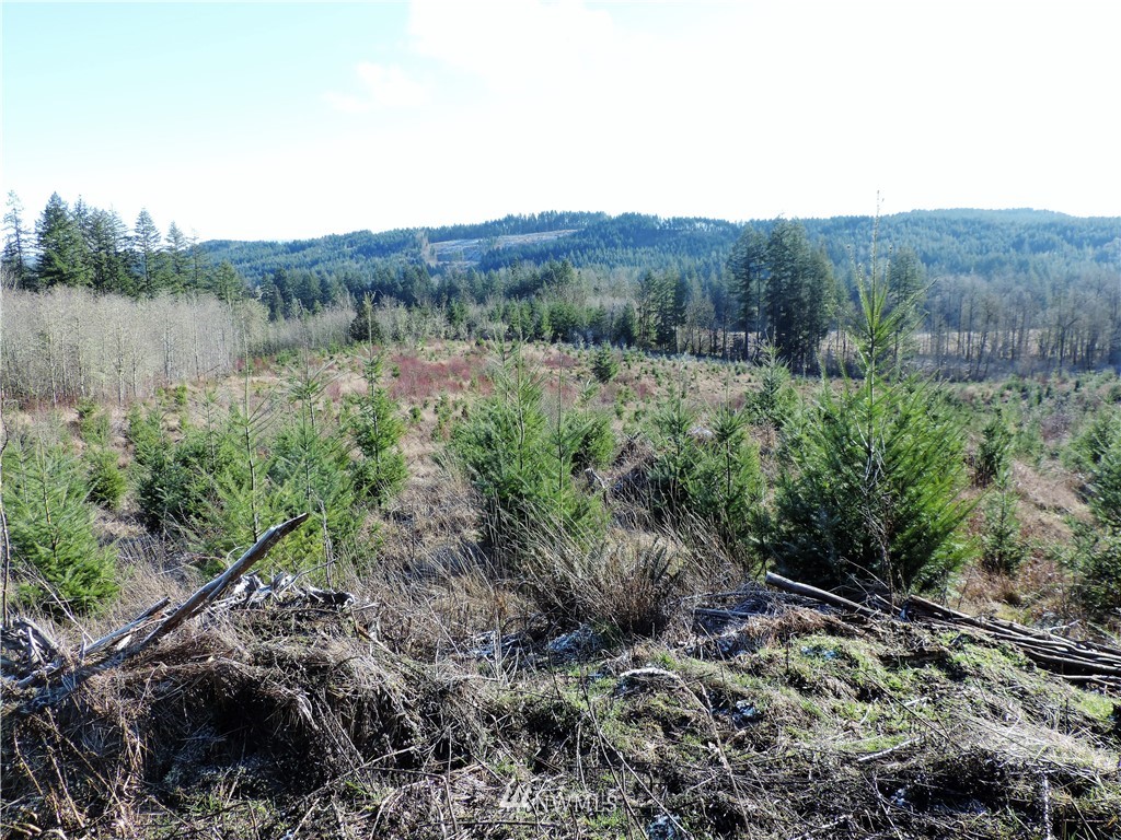 380 Schmidt Road Toledo, WA 98591 - Photo 7 of 23