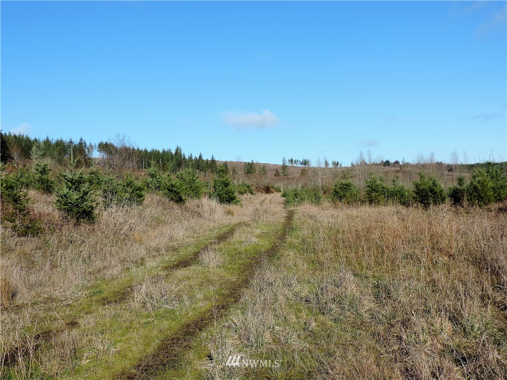 380 Schmidt Road Toledo, WA 98591 - Photo 9 of 23