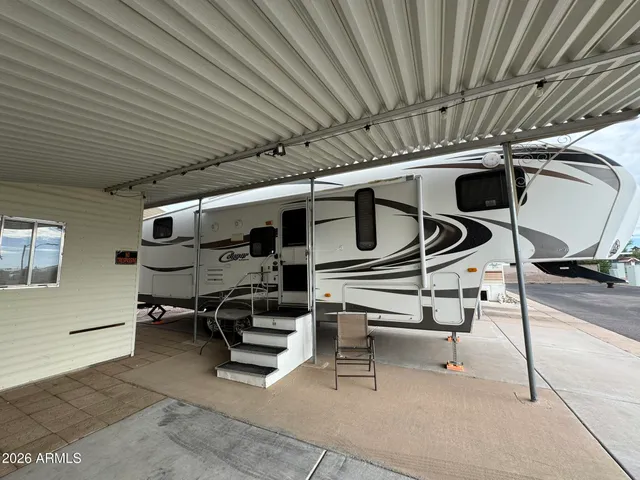 a view of a dry yard with trees and plants