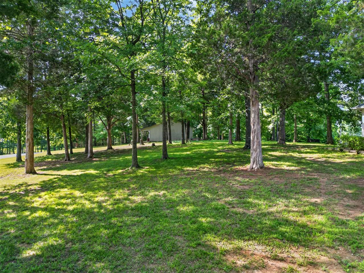 100 Tolbert Lane Dunmor, KY 42339 - Photo 49 of 56 Gallery Image 49