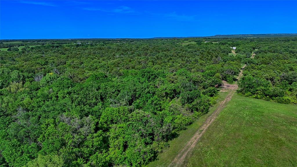 500 Starkey Ranch Road St. Jo, TX 76265 - Photo 12 of 16 a view of a green field with lots of bushes