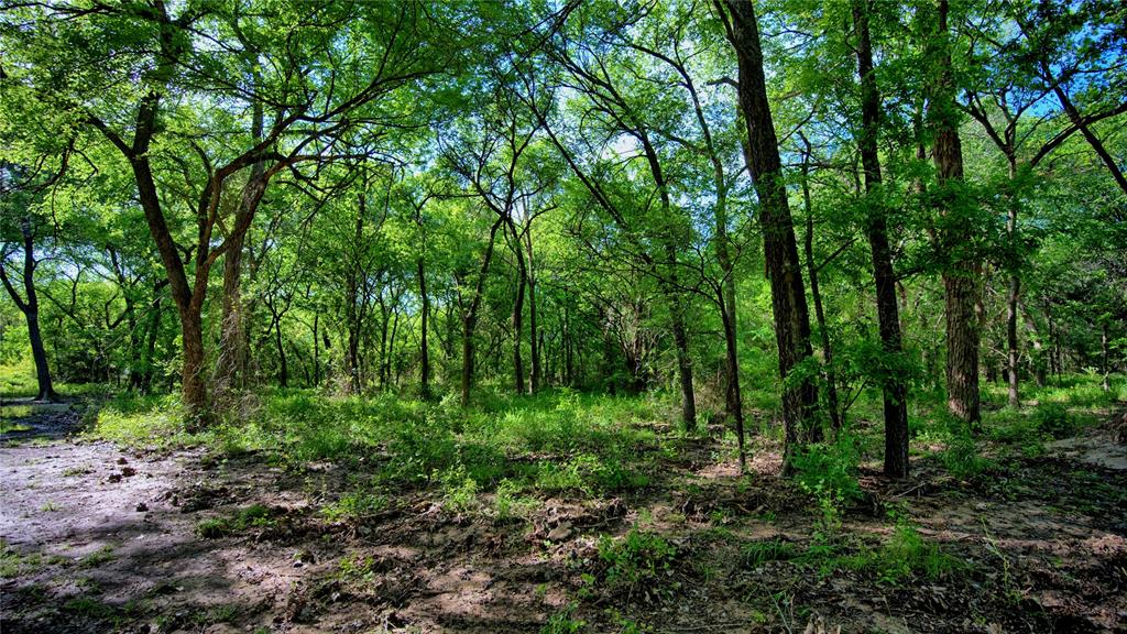 500 Starkey Ranch Road St. Jo, TX 76265 - Photo 13 of 16 a view of outdoor space and green space