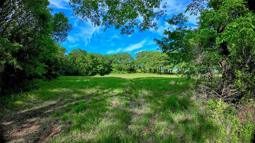 500 Starkey Ranch Road St. Jo, TX 76265 - Photo 16 of 16 a view of a lush green space