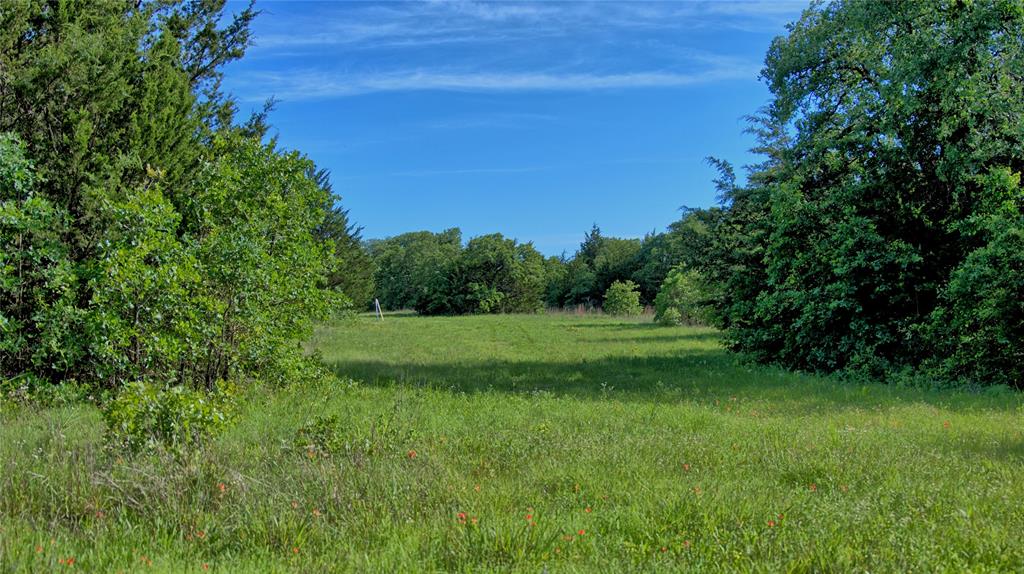 500 Starkey Ranch Road St. Jo, TX 76265 - Photo 2 of 16 a view of a grassy field with trees