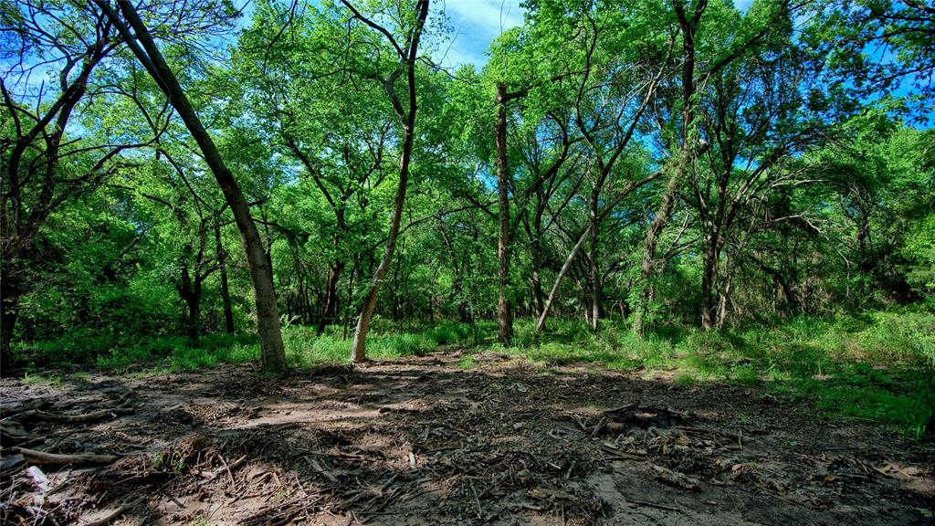 500 Starkey Ranch Road St. Jo, TX 76265 - Photo 4 of 16 a view of outdoor space and trees