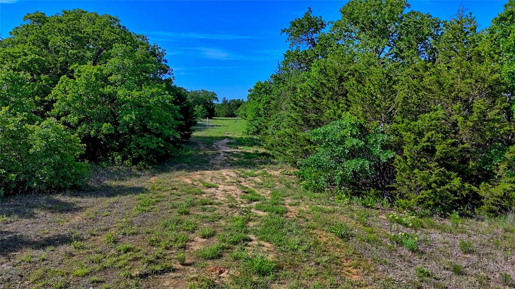 500 Starkey Ranch Road St. Jo, TX 76265 - Photo 8 of 16 a view of a yard with plants and a tree