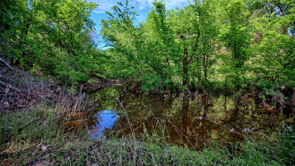 500 Starkey Ranch Road St. Jo, TX 76265 - Photo 9 of 16 a view of a forest with a tree