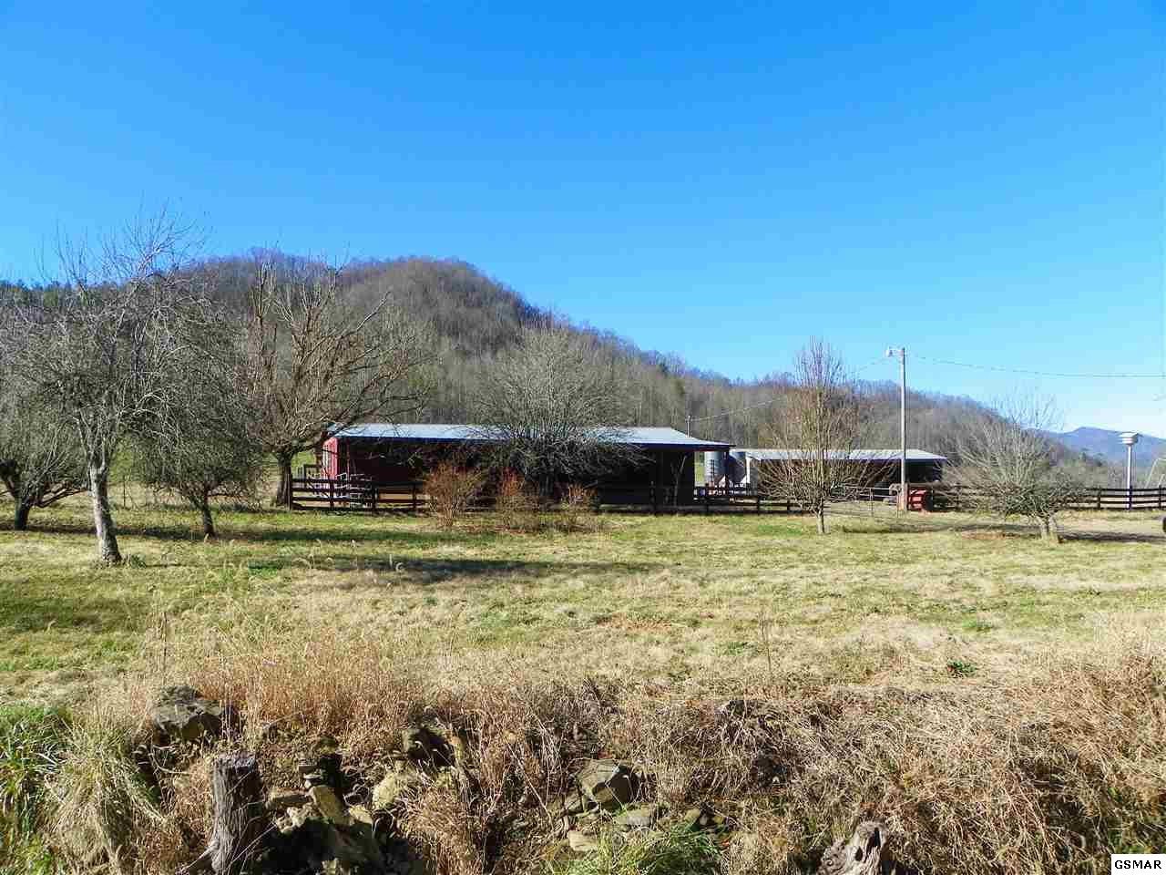1085 Highway 107 Del Rio, TN 37727 - Photo 21 of 32