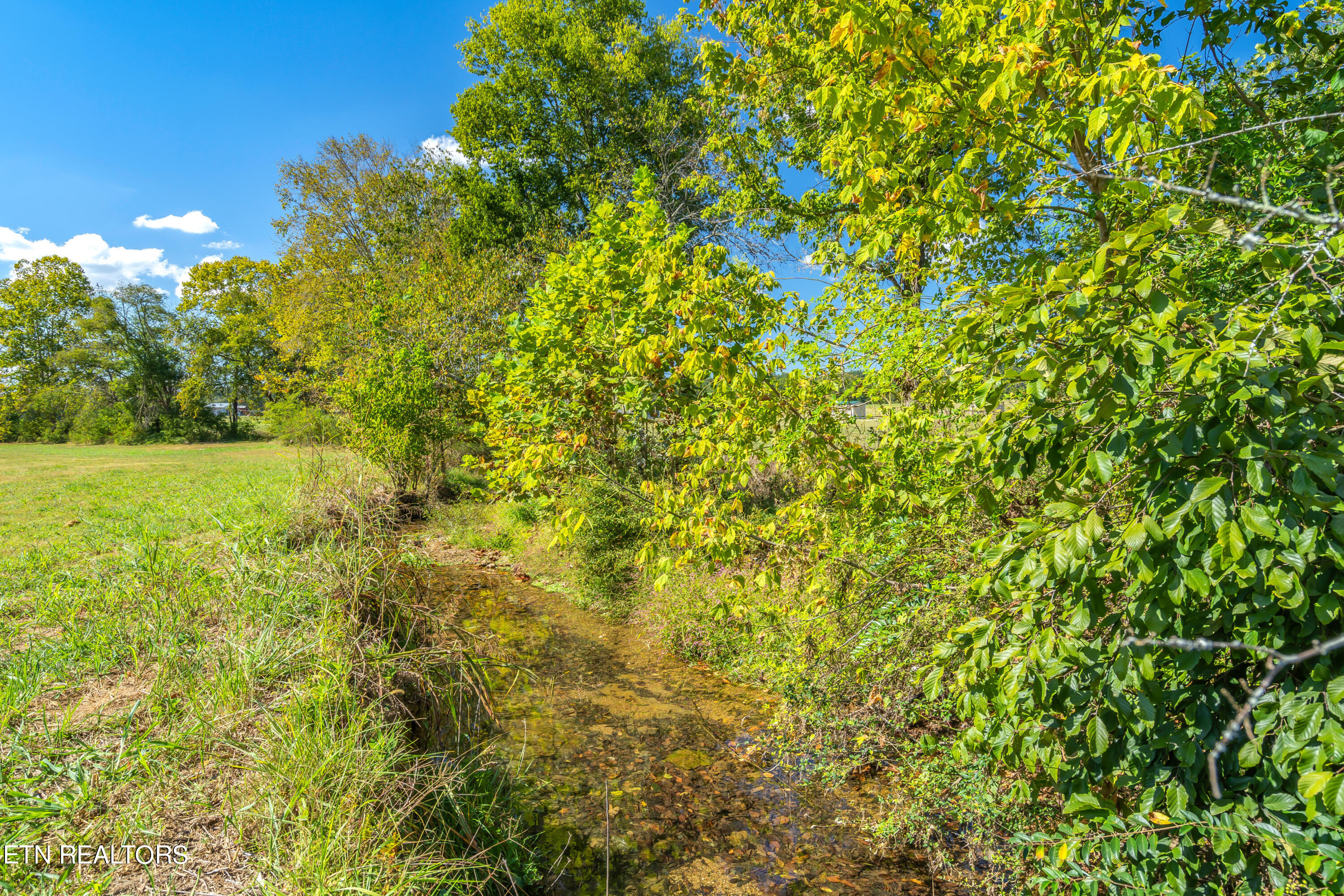 13550 Blue Springs Road Philadelphia, TN 37846 - Photo 46 of 58 13550 Blue Springs Road-47
