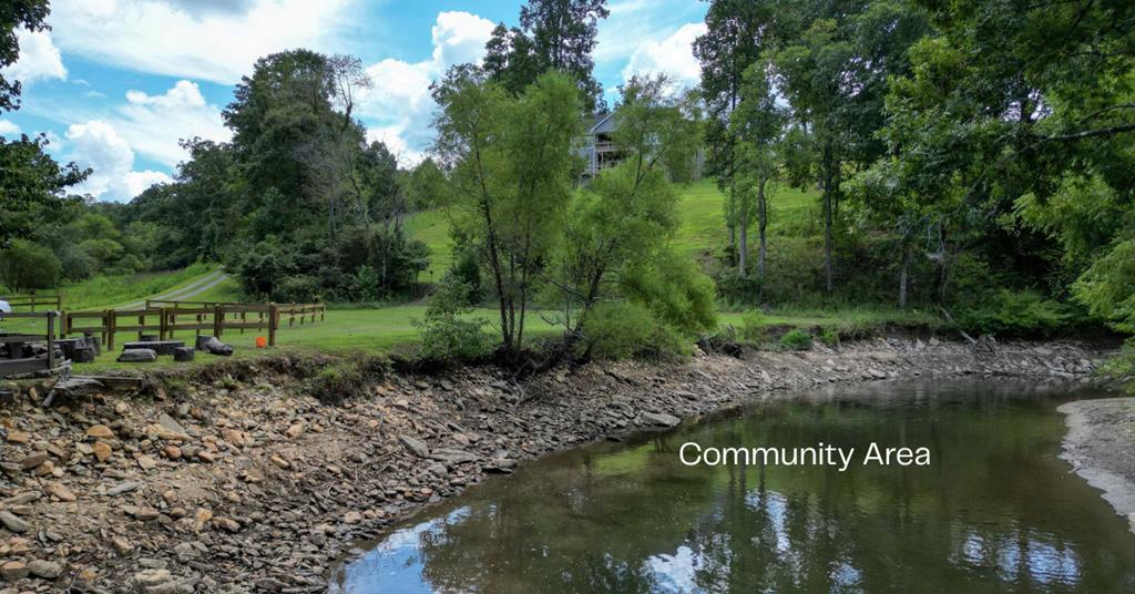 Lot 18 Riverside Lake Blairsville, GA 30512 - Photo 7 of 19 Community Area