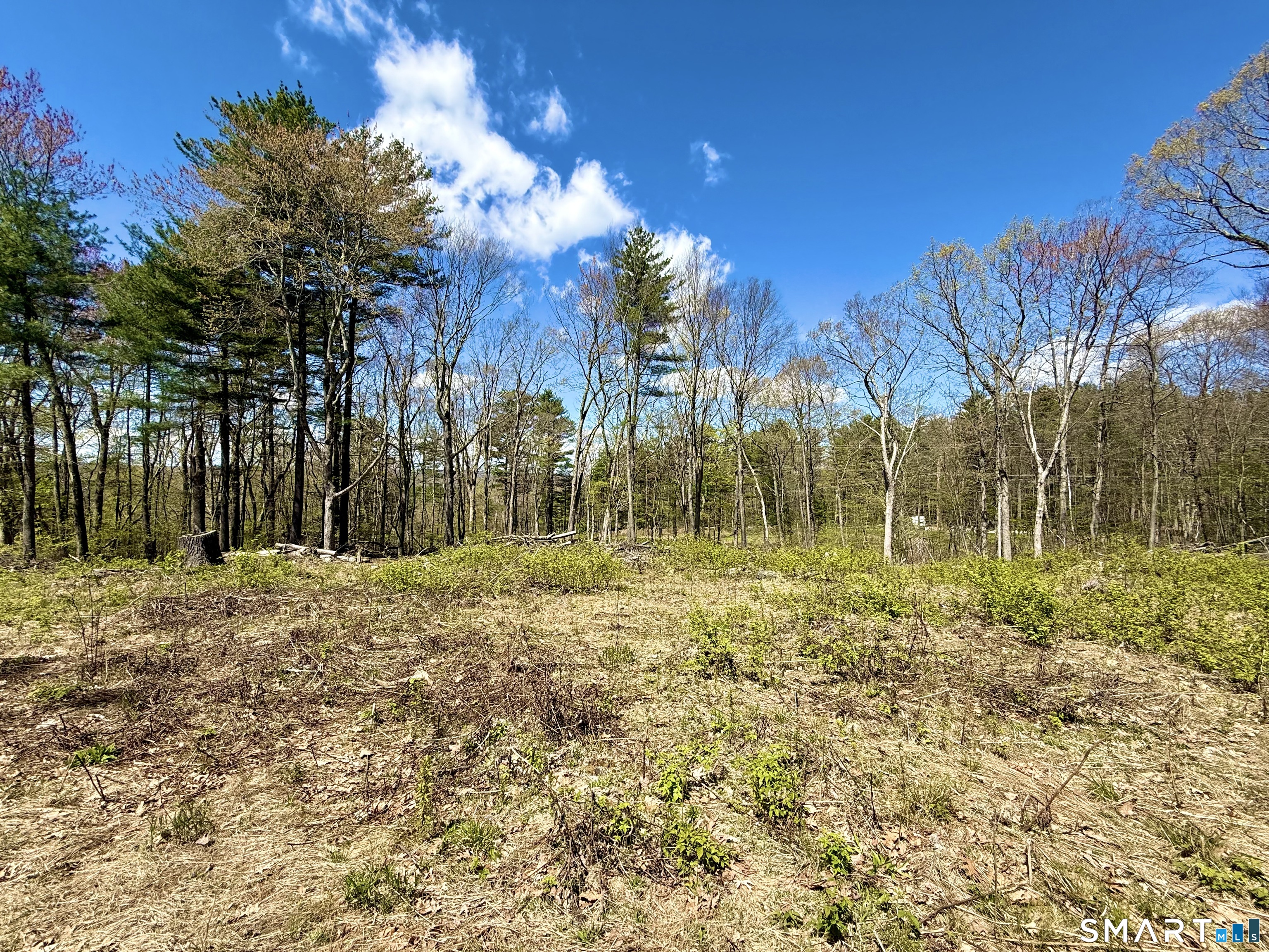 Clearview Avenue Harwinton, CT 06791 - Photo 15 of 29