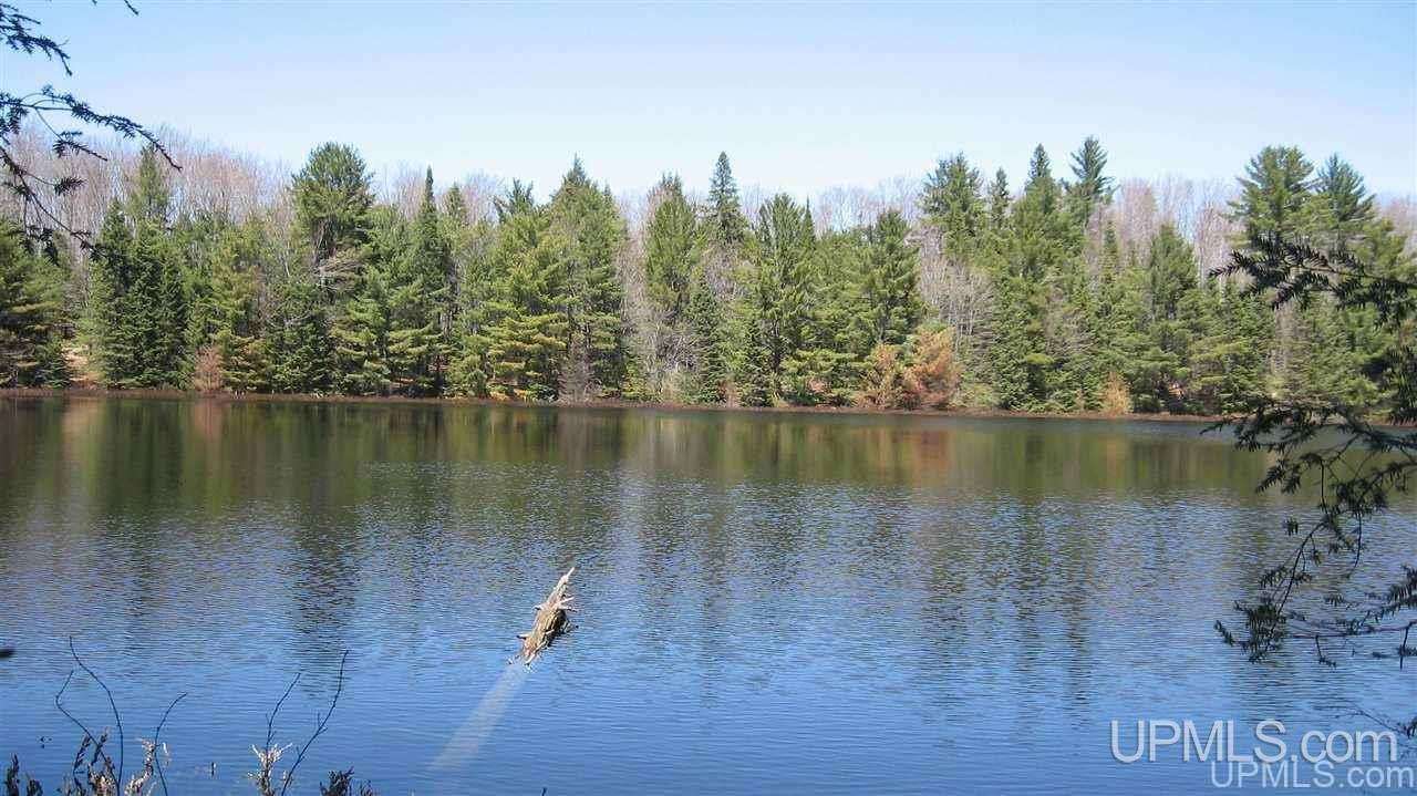 0 Co Road, Unit BECKS LAKE McMillan, MI 49853 - Photo 4 of 5