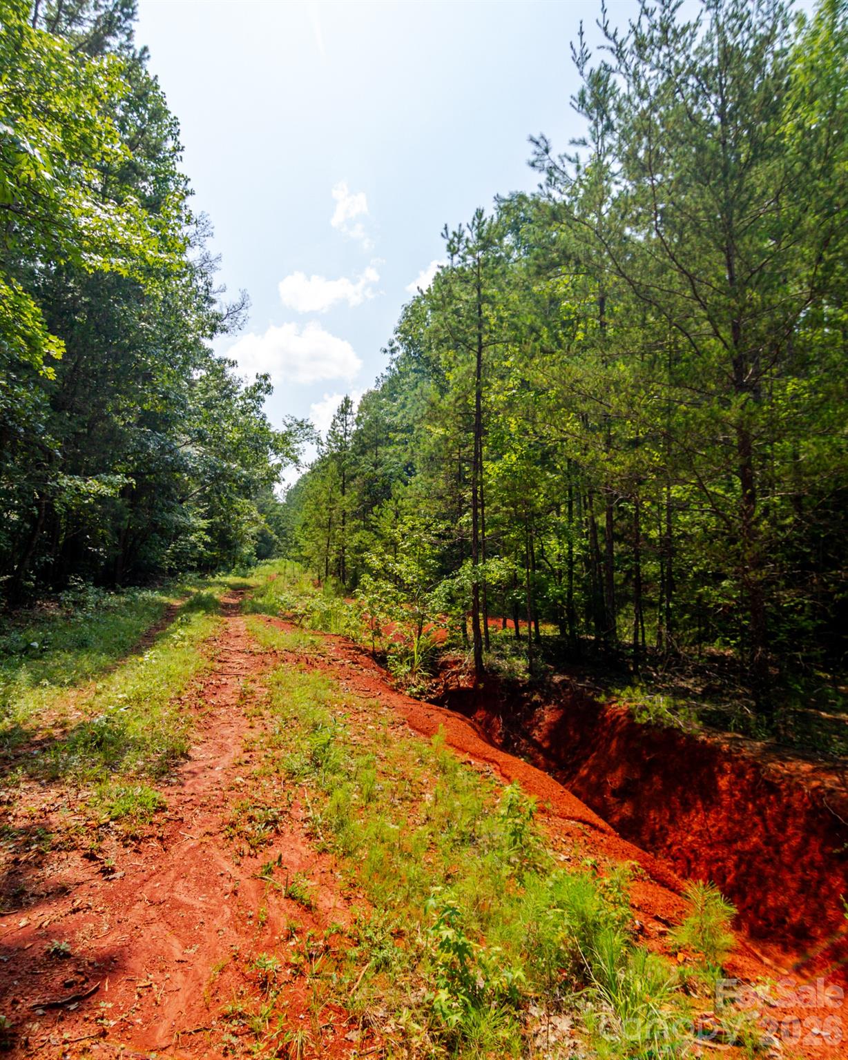 2682 Cold Springs Road Concord, NC 28025 - Photo 13 of 14 Gallery Image 13