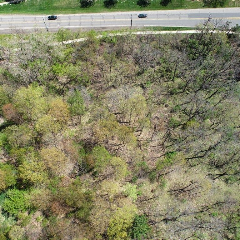 23003 Novi Road Novi, MI 48375 - Photo 14 of 39 Photo 15