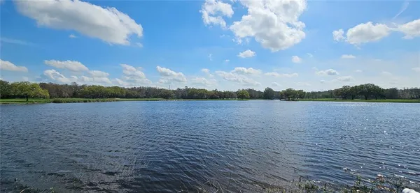 $1,800 | 36750 Highway 19, Unit 4102, Palm Harbor, FL 34684