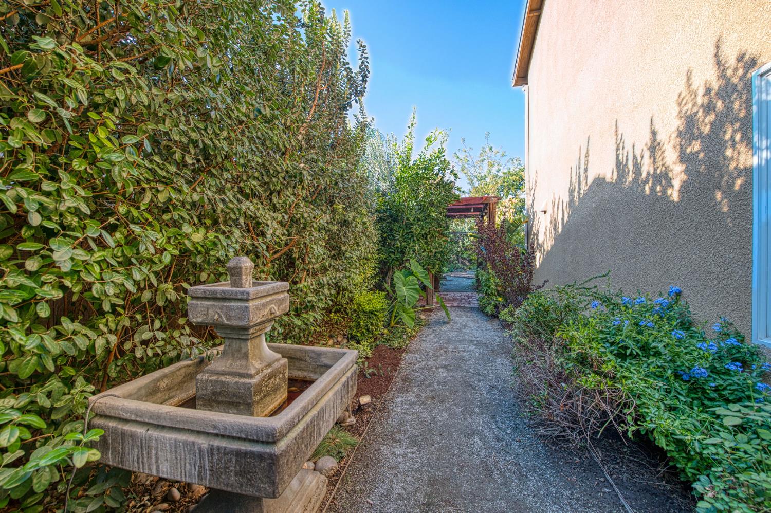 5855 East Platt Avenue Fresno, CA 93727 - Photo 4 of 57 a view of a back yard of the house and trees