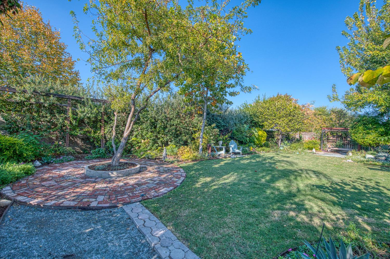5855 East Platt Avenue Fresno, CA 93727 - Photo 8 of 57 a view of a yard with plants and large trees