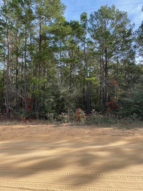a view of a yard from a balcony