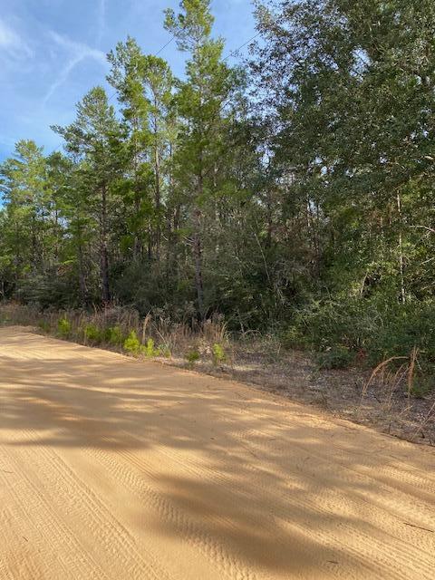 0 Stallion Drive Crestview, FL 32539 - Photo 2 of 3 a view of a yard and basketball court