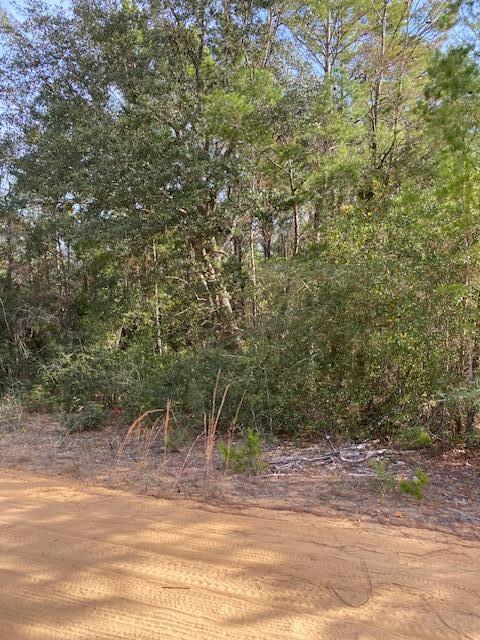 0 Stallion Drive Crestview, FL 32539 - Photo 3 of 3 a view of a yard with a tree