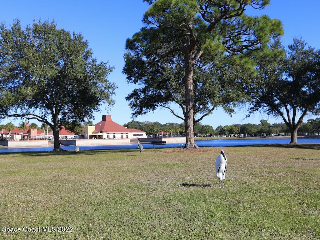 939 Laurel Circle Barefoot Bay, FL 32976 - Photo 30 of 36 a front view of a house with a yard and trees