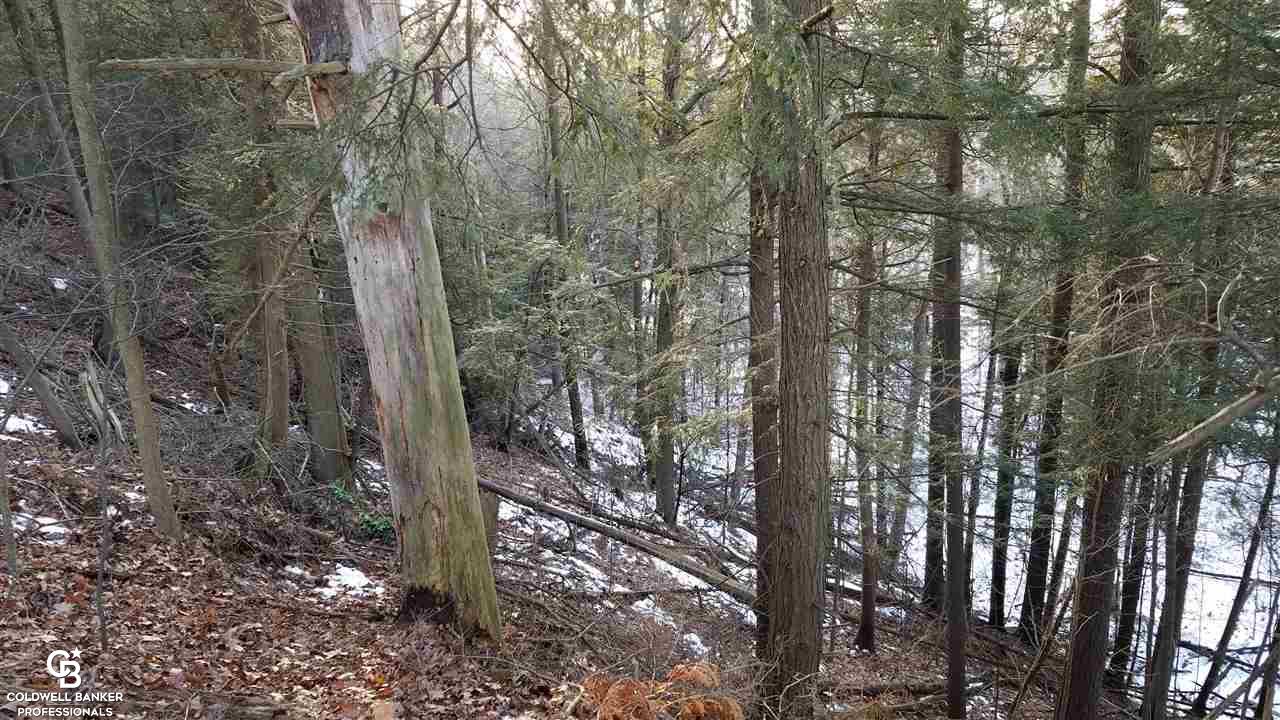4691 Cribbins Road Avoca, MI 48006 - Photo 22 of 42